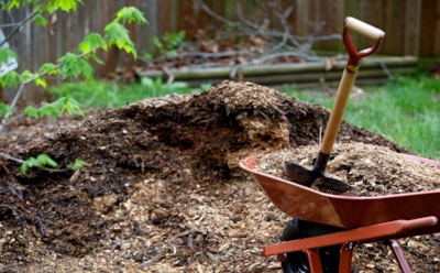 Осень зовет в огород: кормим землю перегноем и компостом — весной она ответит щедрым урожаем