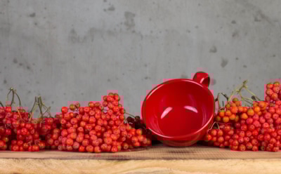 На зиму делаю рябину с сахаром: без баночки этой уютной заготовки ни одно чаепитие не обходится