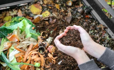 Делаем удобрение без ошибок: как правильно готовить компост и не превратить его в рассадник болезней