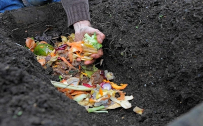 Осенняя алхимия огорода: как превратить кухонные отходы в «золото» для земли
