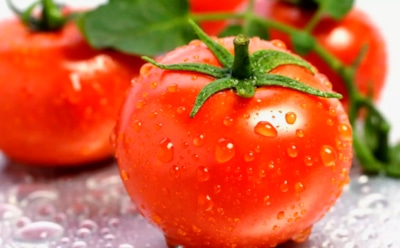 Помогите помидорам покраснеть: приемы огородников — и томаты успеют созреть