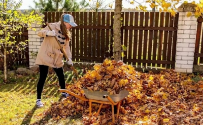 Главный секрет богатого урожая на следующий год — сентябрьские работы в саду и огороде