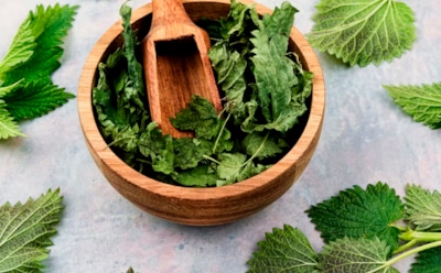 Не укропом единым: травки с грядки, которые стоит засушить на зиму