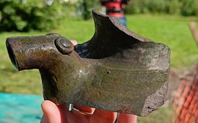 Псковский раскоп удивил: кто же такой зверек-водолей