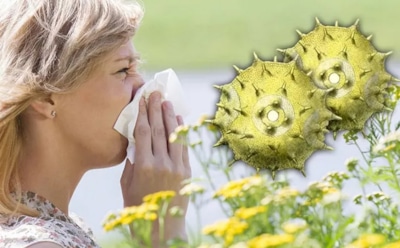 Пыль, аллергены и бактерии: биолог рассказал, как часто стирать шторы