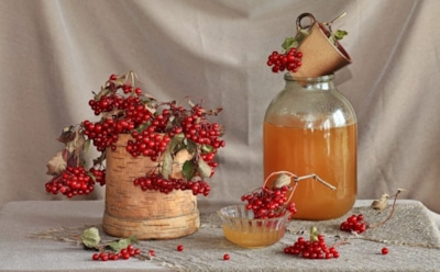 Не только вкусно, но и целебно: рябиновый квас — и вашей бодрости позавидуют все