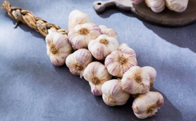 Залечь на дно в доме: где спрятать чеснок, чтобы он пролежал всю зиму без проблем
