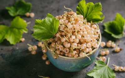 Белый шик на десерт: тарт со смородиной и нежным кремом сводит с ума с первого кусочка