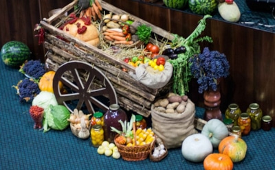 Ешьте эти продукты осенью: врач Бобровский назвал природные щиты для иммунитета