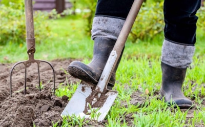 Хитрость дедовских средств: осенью раскидал по участку — весной земля рыхлая и полна сил для нового урожая