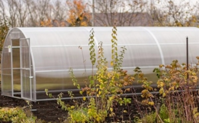 Осенняя уборка теплицы: потратил день, зато урожай в следующем году точно порадует