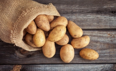 Крошечные, но злобные: нашел их в картошке — готовься к битве за урожай