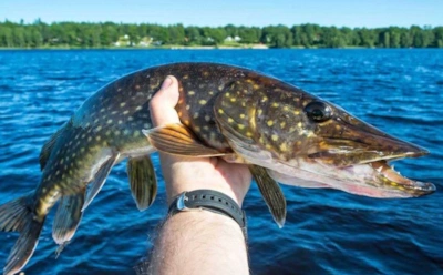 Ловля в октябре сулит богатую добычу: какую рыбу можно поймать в середине осени