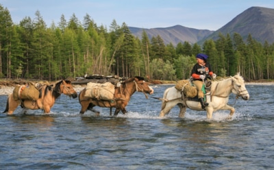 Лошадь стала археологом: случайная находка отодвинула историю цивилизации на тысячелетия