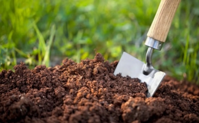 Раскрыт осенний секрет плодородной грядки: это средство даже тяжелую глину превращает в рыхлую землю