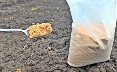 Осень не время для навоза: это средство делает почву плодородной без запаха