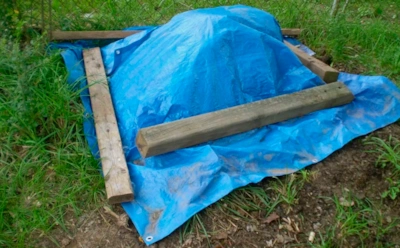 Теплая куча — щедрый урожай: как правильно ухаживать за компостом в холодное время