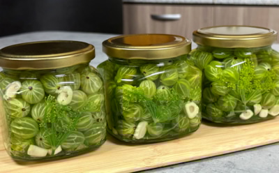 Уникальная закуска, способная удивить: маринованный крыжовник на зиму