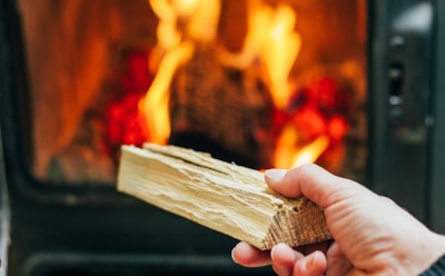 Жар с умом: какие дрова подарят бане легкий пар, камину уют, а мангалу правильные угли