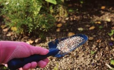 Секрет богатого урожая кроется в осени: чем подкормить сад без ошибок