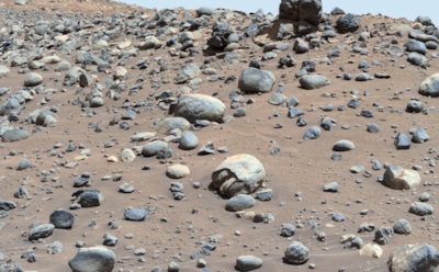 На Марсе заметили «черепаху»: фото с Красной планеты будоражит воображение ученых и фанатов НЛО