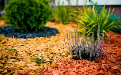 Пока остальные махают лопатами, я разбрасываю мульчу: хлопот меньше — эффект лучше