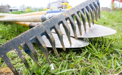 Грабли прочь от огорода: тотальная уборка участка осенью делает землю мертвой