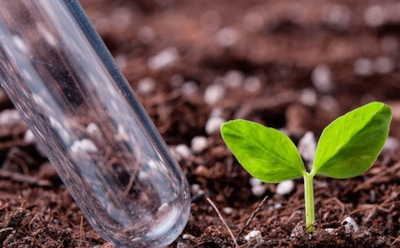 Октябрьское питание для участка: как помочь огороду восстановить силы к новому сезону