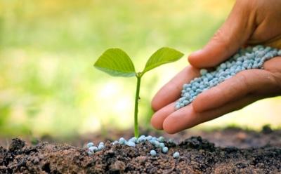 Оздоровление почвы осенью: эффективные биопрепараты для защиты и восстановления плодородия