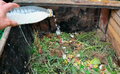 Магия народной мудрости: как оживить компостную кучу без химии