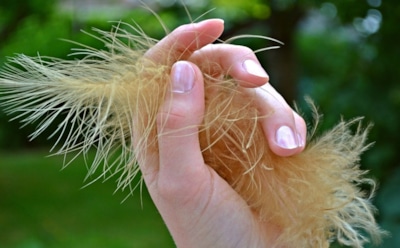 Пальцы из клоаки: ученые раскрыли неожиданный эволюционный секрет человека