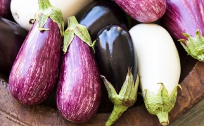 Фиолетовые, белые или полосатые: какой оттенок баклажана выбрать при покупке
