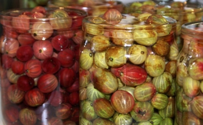 Маленькая хитрость с крыжовником: этой закуской вы будете гордиться каждую зиму