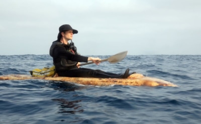 Морское путешествие на грибах: американский художник испытал экотехнологию в реальных условиях