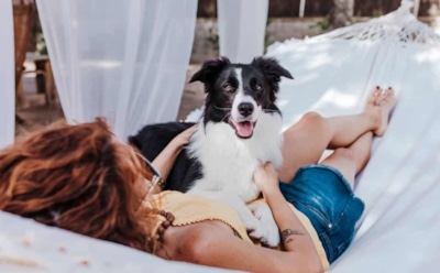 Собачья преданность без меры: породы, для которых разлука — настоящая трагедия