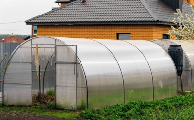 Собрали урожай — время наводить порядок: осенние работы в теплице для будущего урожая без проблем