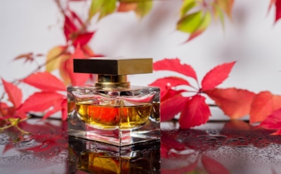 Парфюмерный гардероб осеннего сезона: чем заменить летние ароматы, когда на улице холодает