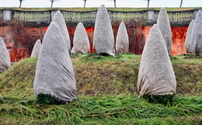 Морозам вход воспрещен: правильная подготовка сада к зиме