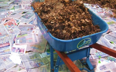 Осенняя броня для малины: простой лайфхак, который экономит силы и время