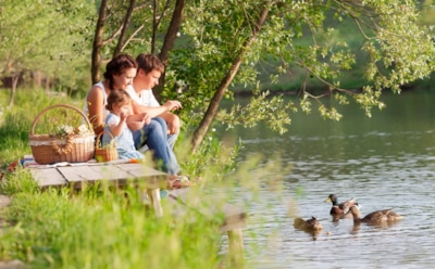 Сила природы для души и тела: почему отдых на свежем воздухе важнее, чем кажется