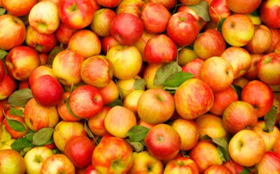 Яблоки без прикрас: польза, о которой все забывают