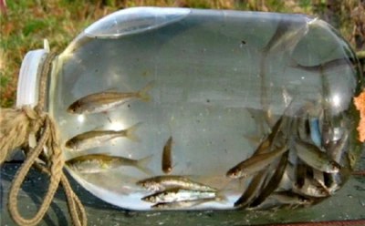 Рыбалка по-деревенски: как затрофеить щуку и судака с помощью обычной банки