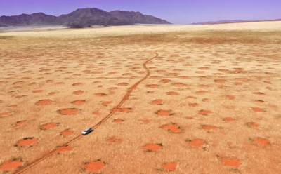 Где танцуют ведьмы: ученые объяснили появление таинственных кругов в Намибии и Австралии