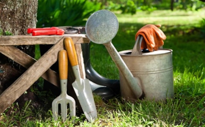 Успеть до снега: как сохранить садовый инструмент в идеальном состоянии до следующего сезона