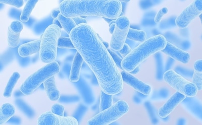 Микробиологическая капсула времени: бактерии для сыра сохранились в подвале более века