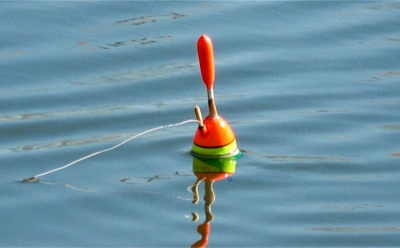 Каждое движение поплавка — сигнал: как определить момент подсечки для разных рыб