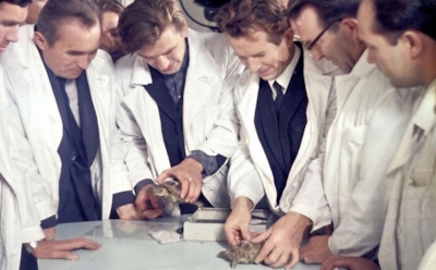 Как черепахи американцев обогнали: раскрыты подробности советской миссии, напугавшей НАСА