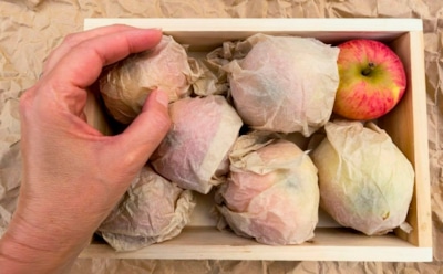 Ваши яблоки больше не портятся: благодаря этому способу они сохраняют аромат и сочность до весны