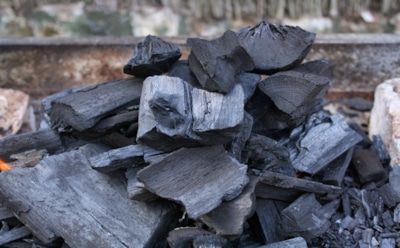 Черное золото осени: почему опытные садоводы так ценят березовый уголь