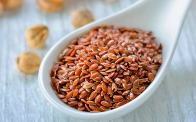 Рыба не устоит: раскрыт секрет эффективной прикормки из прошлого